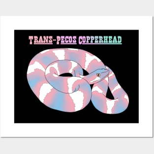 Trans Snek Posters and Art